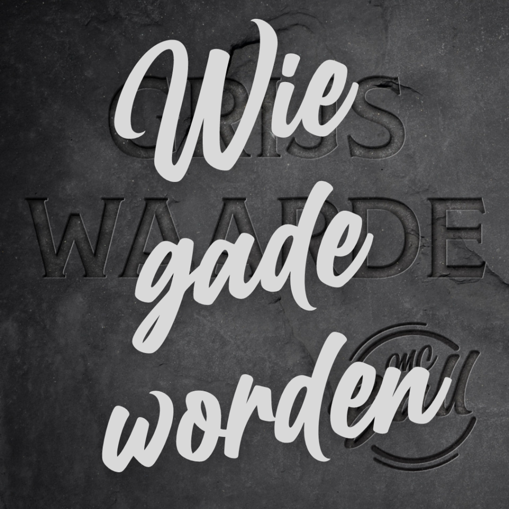 Wie gade worden (More Remix) - Grijswaarde - MC Ball